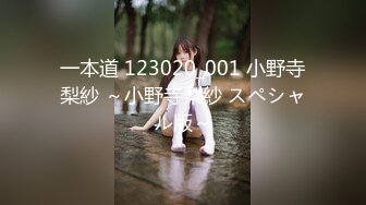 一本道 123020_001 小野寺梨紗 ～小野寺梨紗 スペシャル版～