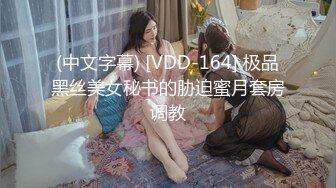 (中文字幕) [VDD-164] 极品黑丝美女秘书的胁迫蜜月套房调教